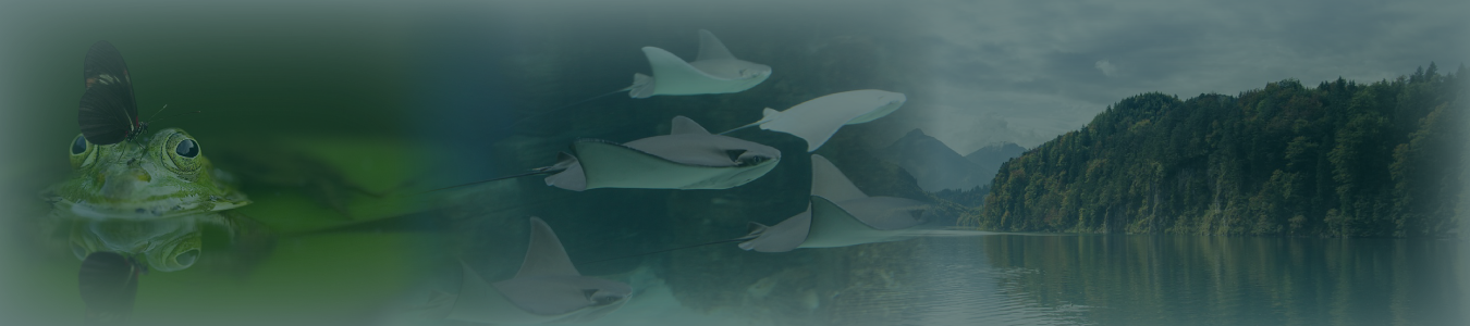 Citizen Science Collage